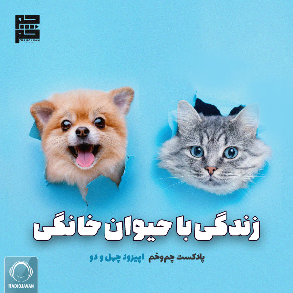 Chamokham - 'Zendegi Ba Heyvane Khanegi'